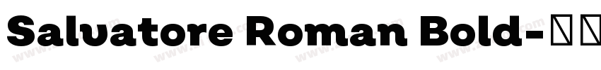 Salvatore Roman Bold字体转换